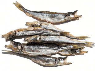 Креветка Черноморская (с укропом) (25гр): Корюшка (мелкая) вяленая (Камчатка)